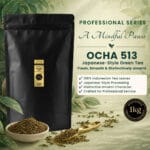 OCHA 513